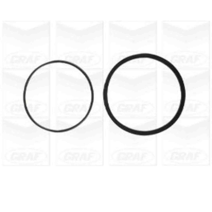 PA695_2.JPG Pompa dell'acqua, raffreddamento motore PA695 GRAF per DAEWOO