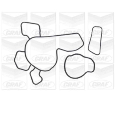 PA729_2.JPG Pompa dell'acqua, raffreddamento motore PA729 GRAF per OPEL