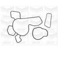 PA729_2.JPG Pompa dell'acqua, raffreddamento motore PA729 GRAF per OPEL