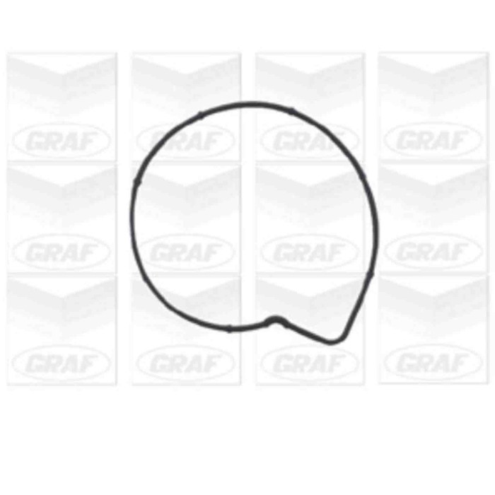 PA736_2.JPG Pompa dell'acqua, raffreddamento motore PA736 GRAF per MERCEDES-BENZ