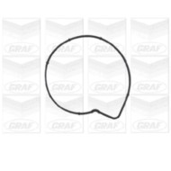 PA736_2.JPG Pompa dell'acqua, raffreddamento motore PA736 GRAF per MERCEDES-BENZ