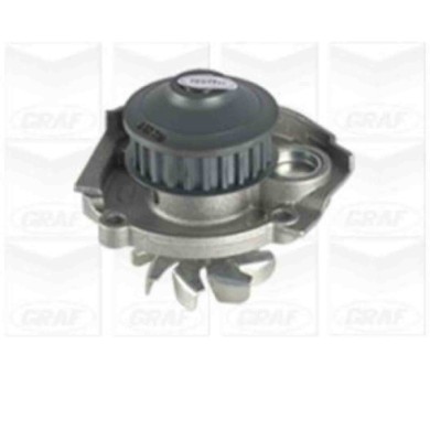 NEUTRO.jpg Pompa dell'acqua, raffreddamento motore PA739 GRAF per FIAT LANCIA
