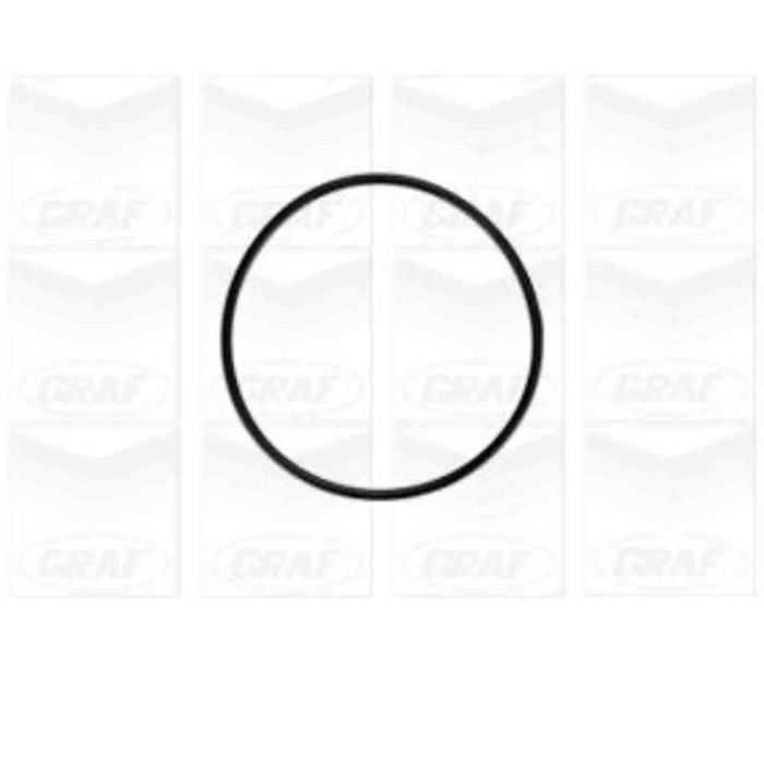 PA758_2.JPG Pompa dell'acqua, raffreddamento motore PA758 GRAF per AUDI VW VOLVO