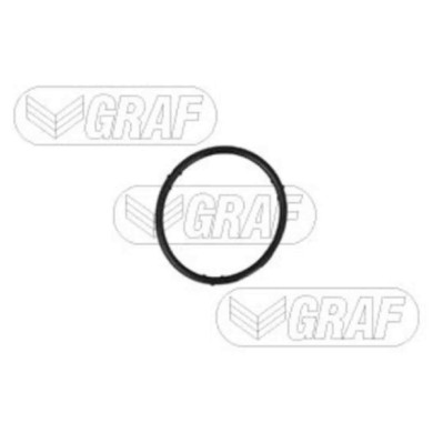 PA765_2.JPG Pompa dell'acqua, raffreddamento motore PA765 GRAF per AUDI VW SEAT