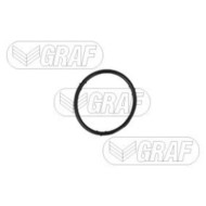 PA765_2.JPG Pompa dell'acqua, raffreddamento motore PA765 GRAF per AUDI VW SEAT