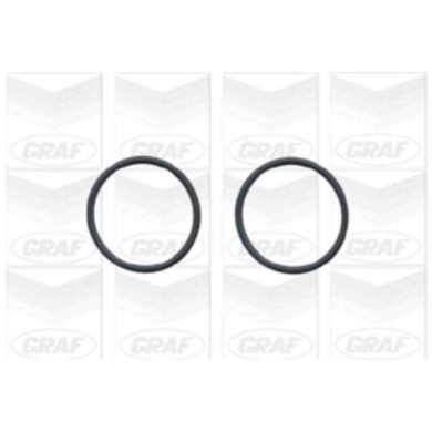 PA779_2.JPG Pompa dell'acqua, raffreddamento motore PA779 GRAF per AUDI VW