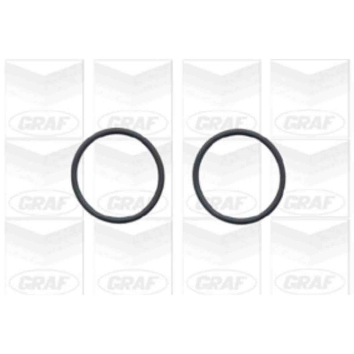 PA779_2.JPG Pompa dell'acqua, raffreddamento motore PA779 GRAF per AUDI VW