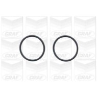 PA779_2.JPG Pompa dell'acqua, raffreddamento motore PA779 GRAF per AUDI VW