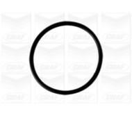 PA806_2.JPG Pompa dell'acqua, raffreddamento motore PA806 GRAF per VW SEAT SKODA