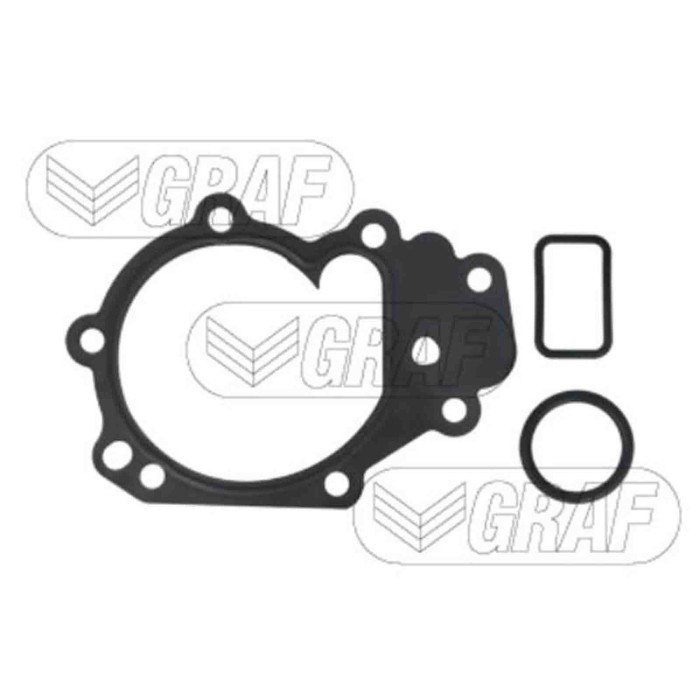 PA820_2.JPG Pompa dell'acqua, raffreddamento motore PA820 GRAF per RENAULT NISSAN