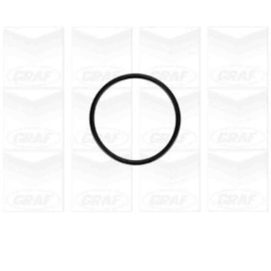 PA879_2.JPG Pompa dell'acqua, raffreddamento motore PA879 GRAF per AUDI VW FORD SEAT SKODA