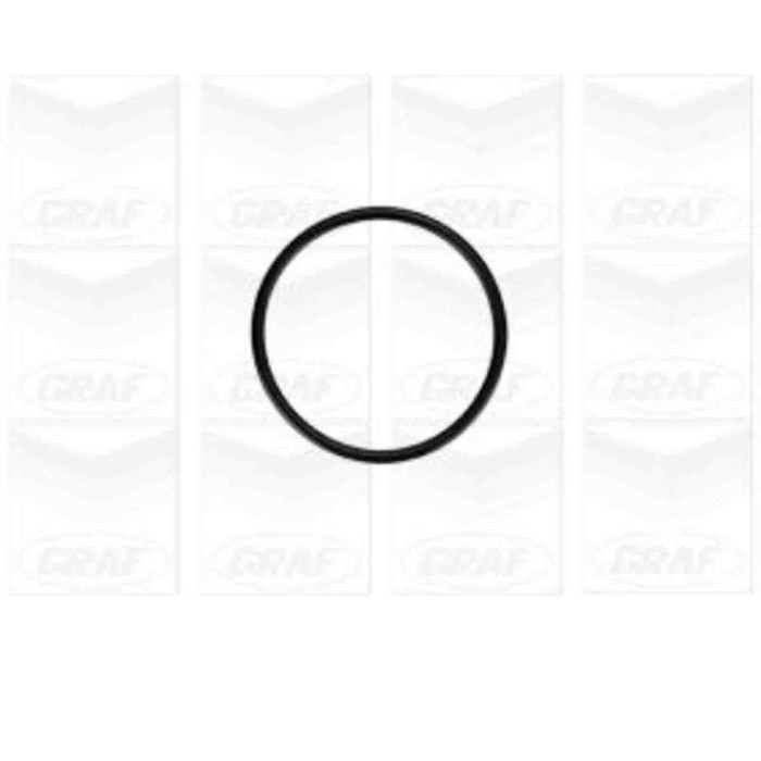 PA879_2.JPG Pompa dell'acqua, raffreddamento motore PA879 GRAF per AUDI VW FORD SEAT SKODA