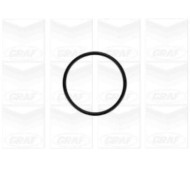 PA879_2.JPG Pompa dell'acqua, raffreddamento motore PA879 GRAF per AUDI VW FORD SEAT SKODA