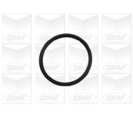 PA906_2.JPG Pompa dell'acqua, raffreddamento motore PA906 GRAF per PEUGEOT