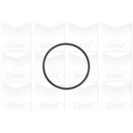 PA941_2.JPG Pompa dell'acqua, raffreddamento motore PA941 GRAF per PEUGEOT CITROEN