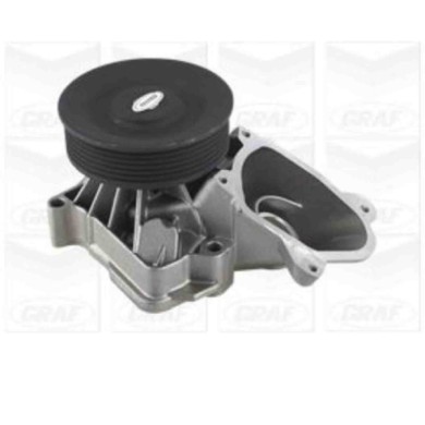 NEUTRO.jpg Pompa dell'acqua, raffreddamento motore PA965 GRAF per BMW