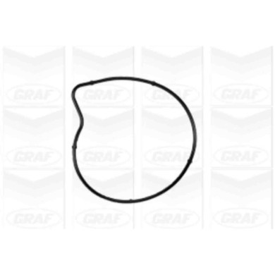 PA978_2.JPG Pompa dell'acqua, raffreddamento motore PA978 GRAF per MERCEDES-BENZ MITSUBISHI