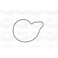 PA979_2.JPG Pompa dell'acqua, raffreddamento motore PA979 GRAF per AUDI VW PORSCHE