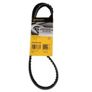 Cinghia trapezoidale AVX10X1140 CONTINENTAL CTAM per RENAULT PEUGEOT LANCIA