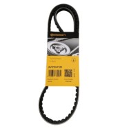 Cinghia trapezoidale AVX10X1125 CONTINENTAL CTAM per PEUGEOT CITROEN BMW AUDI VW