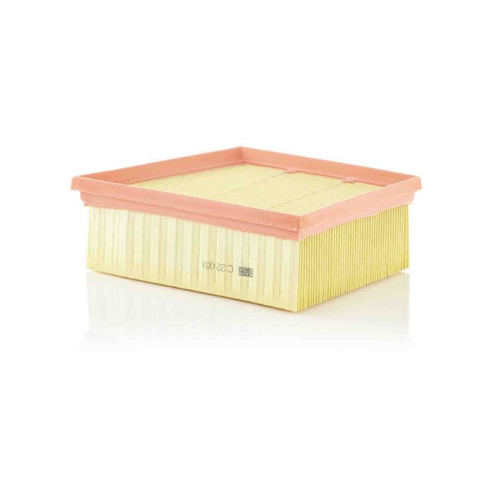 Filtro aria C 22 031 MANN-FILTER per FORD