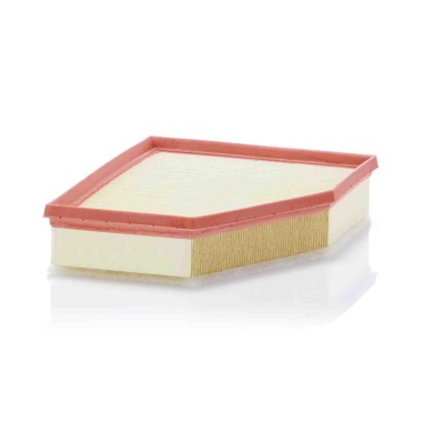 Filtro aria C 28 038 MANN-FILTER per BMW