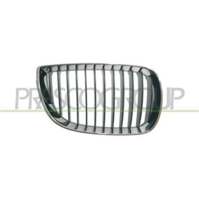 BM1202003_1.JPG Griglia Radiatore Destra Per Bmw 1 Series - E87/e81 Dal 2004 Al 2007