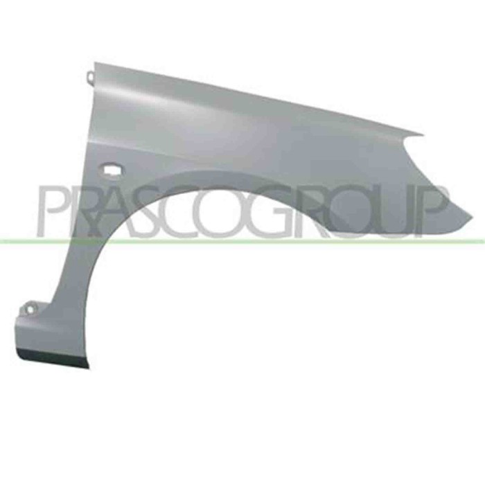 PG4223013_1.JPG Parafango Anteriore Destro Con Foro Lucciola Per Peugeot 307 Dal 2005 Al 2009