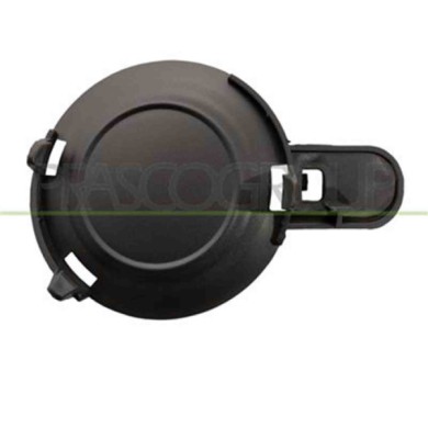 CI2041242_1.JPG Tappo Coprifendi Sinistro Per Citroen C1 Dal 2012 Al 2014