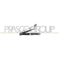 FT0173704_1.JPG Cerniera Cofano Sinistra Per Fiat Cinquecento Dal 1992 Al 1998