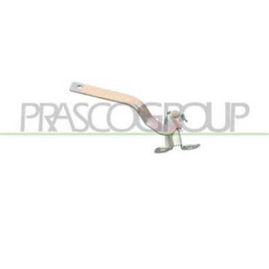 FT1223703_1.JPG Cerniera Cofano Destra Per Fiat Panda Dal 2003 Al 2011