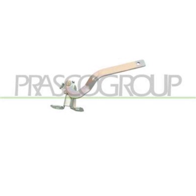 FT1223704_1.JPG Cerniera Cofano Sinistra Per Fiat Panda Dal 2003 Al 2011