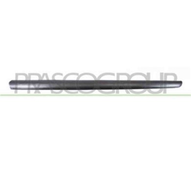 PG3201413_1.JPG Modanatura Porta Anteriore Destra Per Peugeot 207 Dal 2006 Al 2009