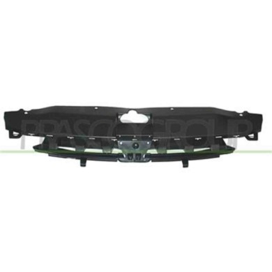 PG4202001_1.JPG Griglia Radiatore Per Peugeot 307 Dal 2001 Al 2005