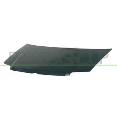 FT1223100_1.JPG Cofano Per Fiat Panda Dal 2003 Al 2011