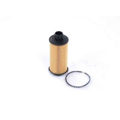 FL0289.JPG Filtro Olio Alfa Romeo Stelvio Giulia Fl0289 71779389 Cartuccia Filtro Bremsi