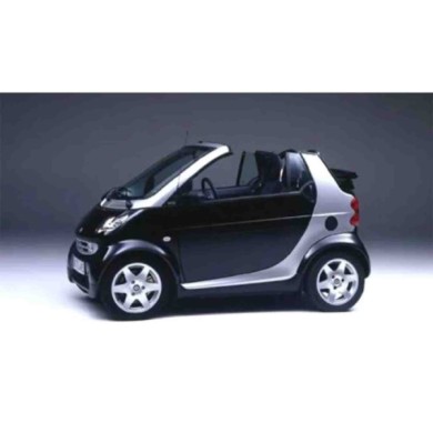 GUIDA_ALLA_SCELTA.JPG Maniglia Esterna Anteriore Destra Per Smart City Coupe' Dal 1998 Al 2002