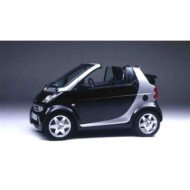 GUIDA_ALLA_SCELTA.JPG Maniglia Esterna Anteriore Destra Per Smart City Coupe' Dal 1998 Al 2002