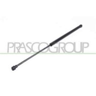 Molla A Gas Destra O Sinistra Portellone Posteriore Per Audi A3 3/5 Porte (8v1/8va) Dal 1996 Al 2003