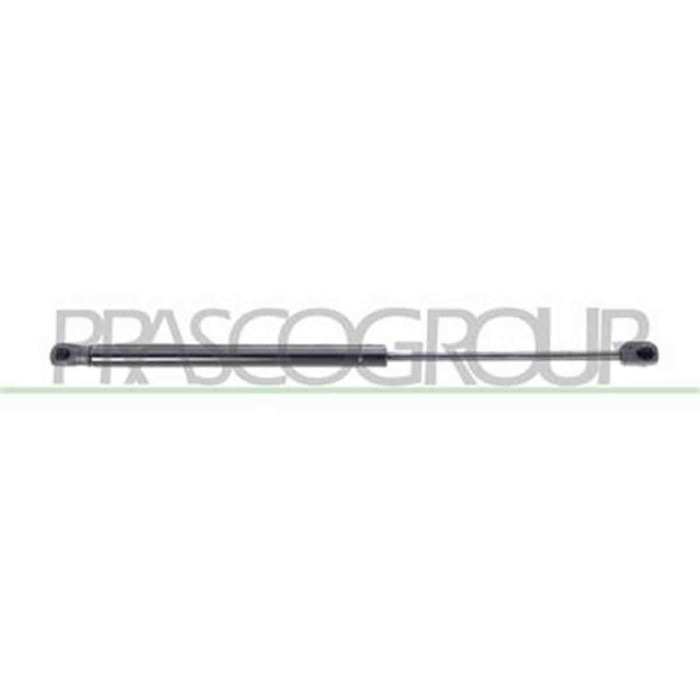 CI3049055_3.JPG Molla A Gas Destra O Sinistra Portellone Posteriore Per Citroen C2 Dal 2003 Al 2007
