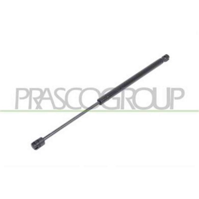 CI3209055_2.JPG Molla A Gas Destra O Sinistra Portellone Posteriore Per Citroen C3 Dal 2002 Al 2005