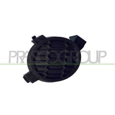 DS0121249_1.JPG Tappo Fendinebbia Destro Per Nissan Micra K12 Dal 2005 Al 2007