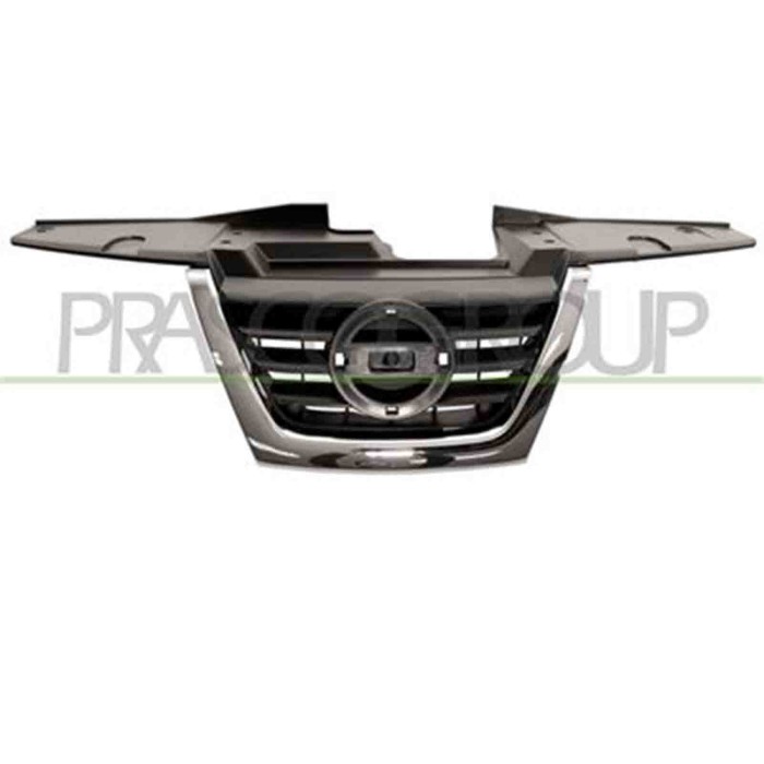 DS7002001_1.JPG Griglia Radiatore Per Nissan Juke Dal 2011 Al 2014