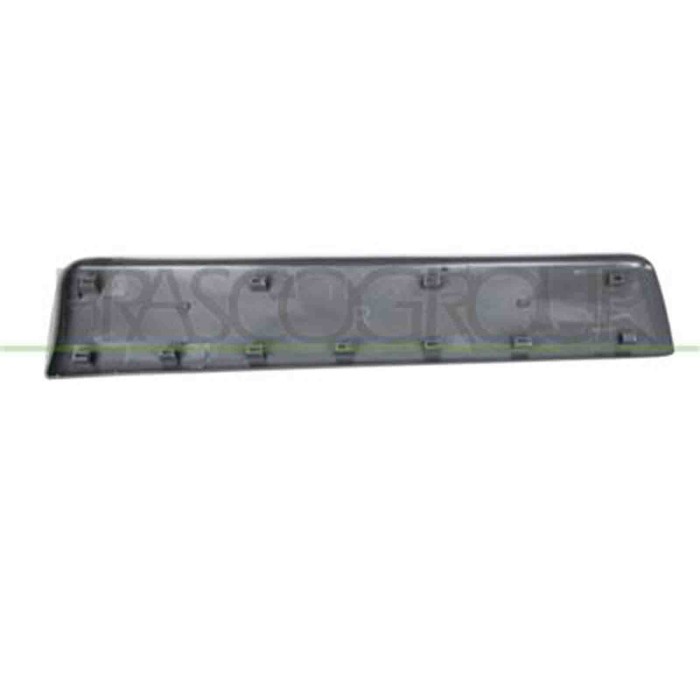 DS9521403_2.JPG Modanatura Porta Anteriore Destra Per Nissan Primastar Dal 2007 Al 2015