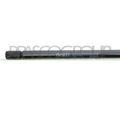 FD3409055_3.JPG Molla A Gas Destra O Sinistra Portellone Posteriore Per Ford Fiesta Mk V Dal 2002 Al 2005