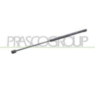 FD7179055_2.JPG Molla A Gas Destra O Sinistra Portellone Posteriore Per Ford C-max Dal 2007 Al 2010