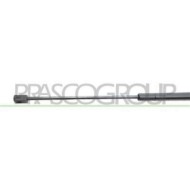 FD7179055_3.JPG Molla A Gas Destra O Sinistra Portellone Posteriore Per Ford C-max Dal 2007 Al 2010