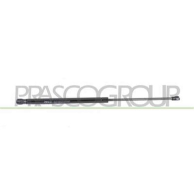 FT1229055_2.JPG Molla A Gas Destra O Sinistra Portellone Posteriore Per Fiat Panda Dal 2003 Al 2011