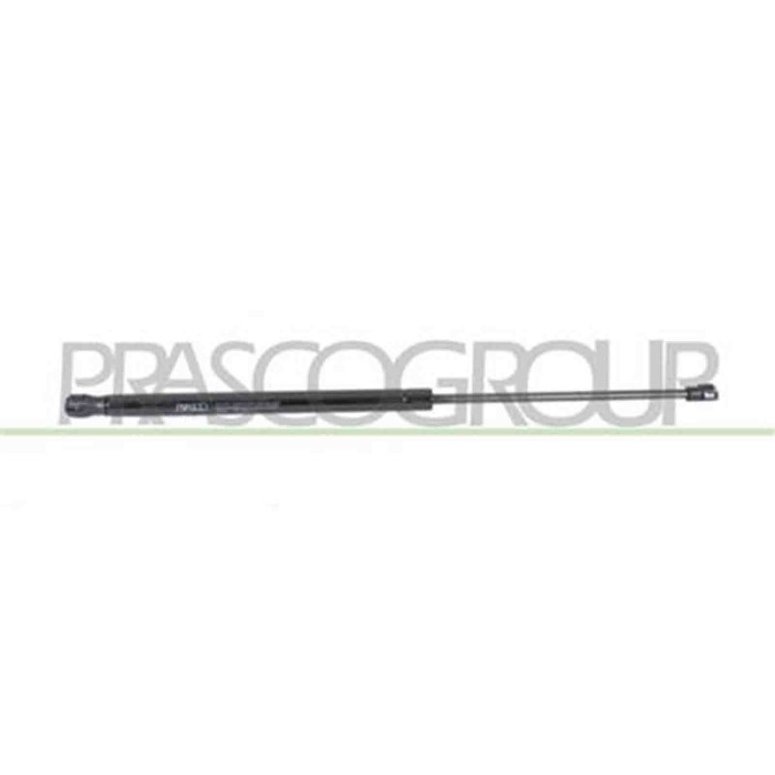 FT1229055_2.JPG Molla A Gas Destra O Sinistra Portellone Posteriore Per Fiat Panda Dal 2003 Al 2011