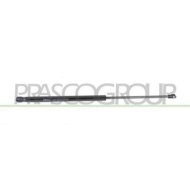 FT1229055_2.JPG Molla A Gas Destra O Sinistra Portellone Posteriore Per Fiat Panda Dal 2003 Al 2011